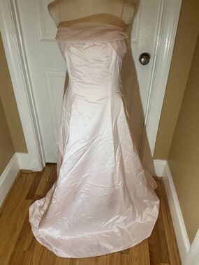 NWT Betsy & Adam by Jasmine Beautiful Pale Pink Gown